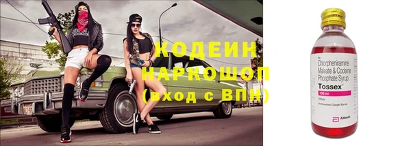 дживик Осинники