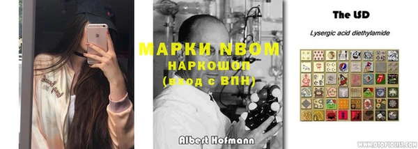 дживик Осинники