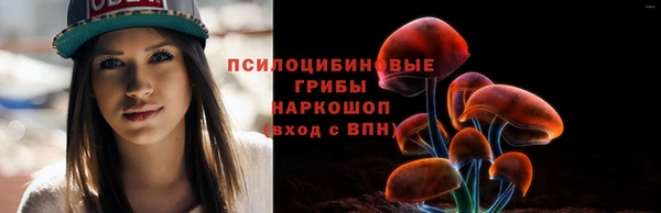 дживик Осинники