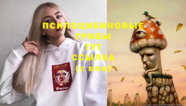 спайс Осташков
