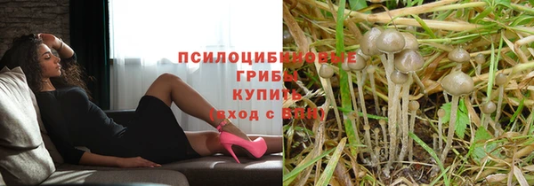 дживик Осинники