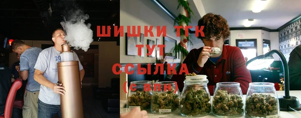 дживик Осинники
