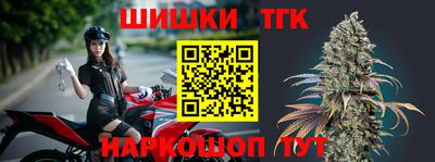 индика Абакан