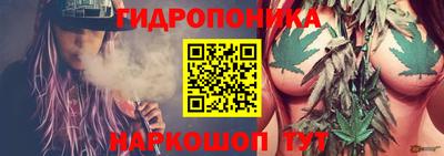 индика Абакан