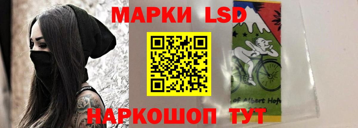 blacksprut как войти  Лсд 25 экстази  Алексин  ЛСД экстази кислота 