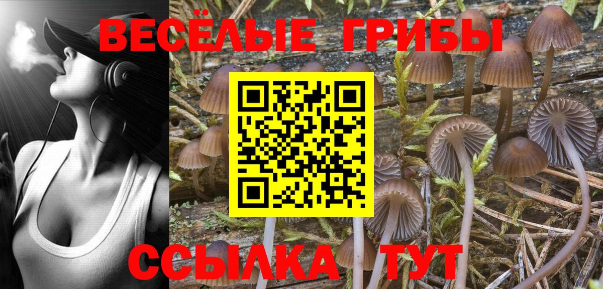 Псилоцибиновые грибы MAGIC MUSHROOMS  Вход с VPN  Галлюциногенные грибы Psilocybine cubensis  Алексин 