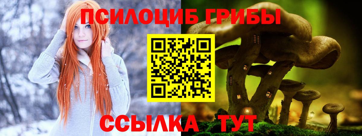 Галлюциногенные грибы Psilocybe Алексин