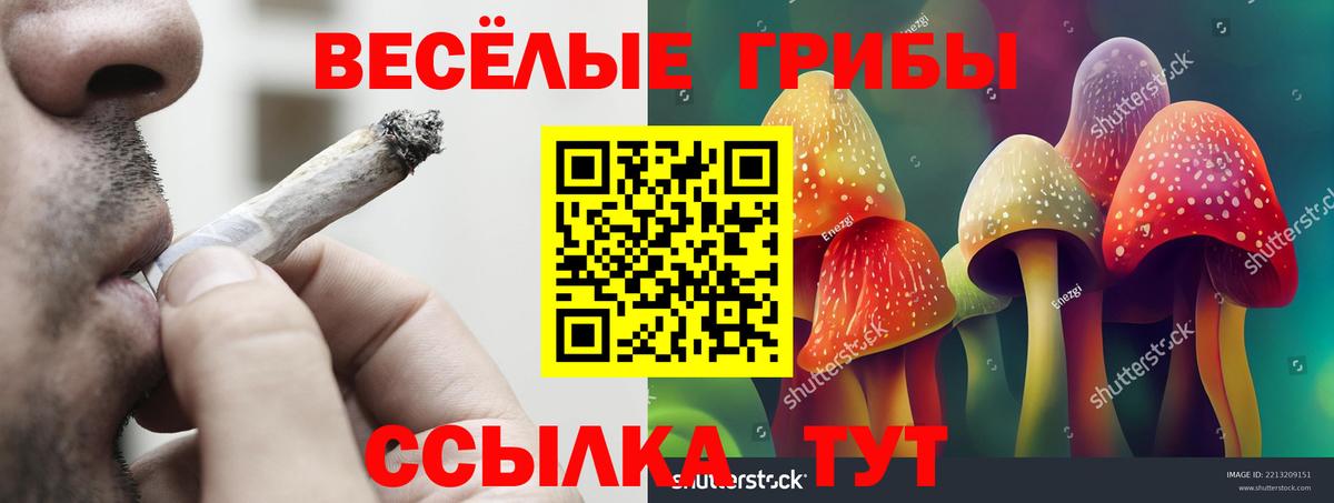 Галлюциногенные грибы мицелий Алексин