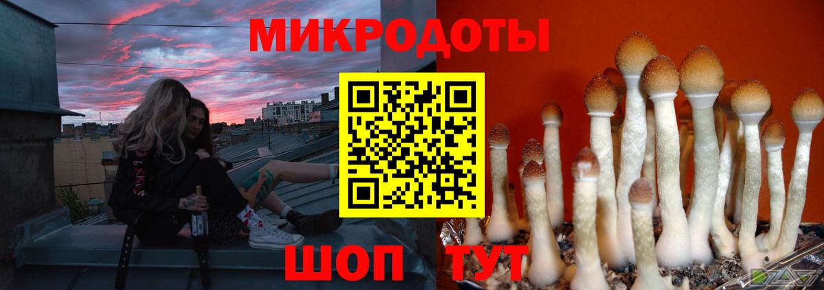 Галлюциногенные грибы мицелий Алексин